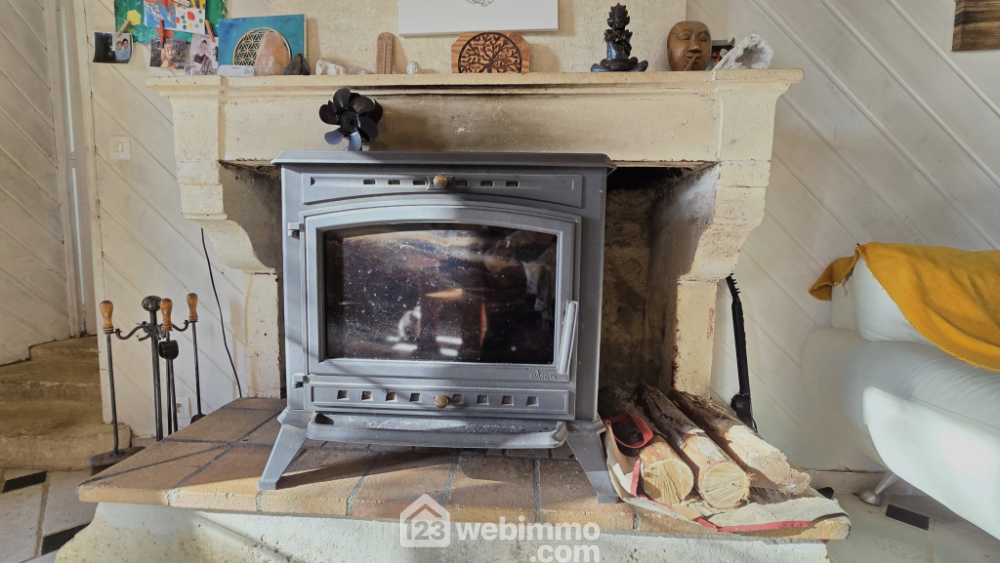 Photo 7 - La Brousse 17160 à La Brousse