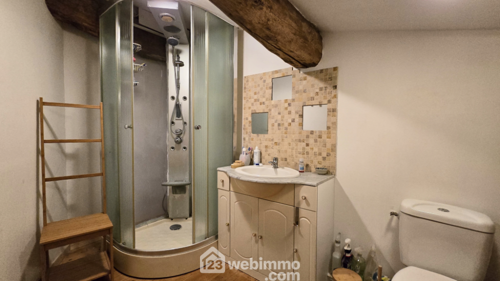 Photo 17 - La Brousse 17160 à La Brousse