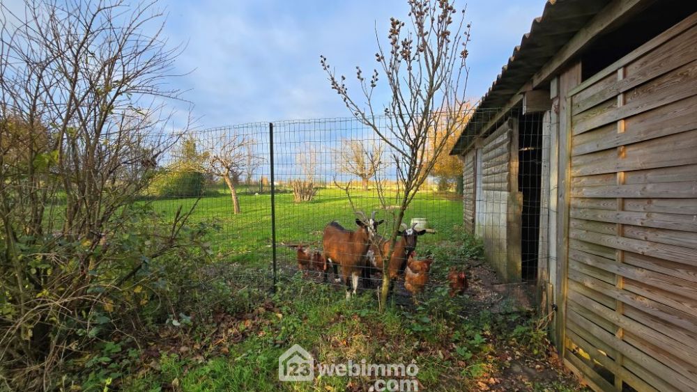 Photo 32 - La Brousse 17160 à La Brousse