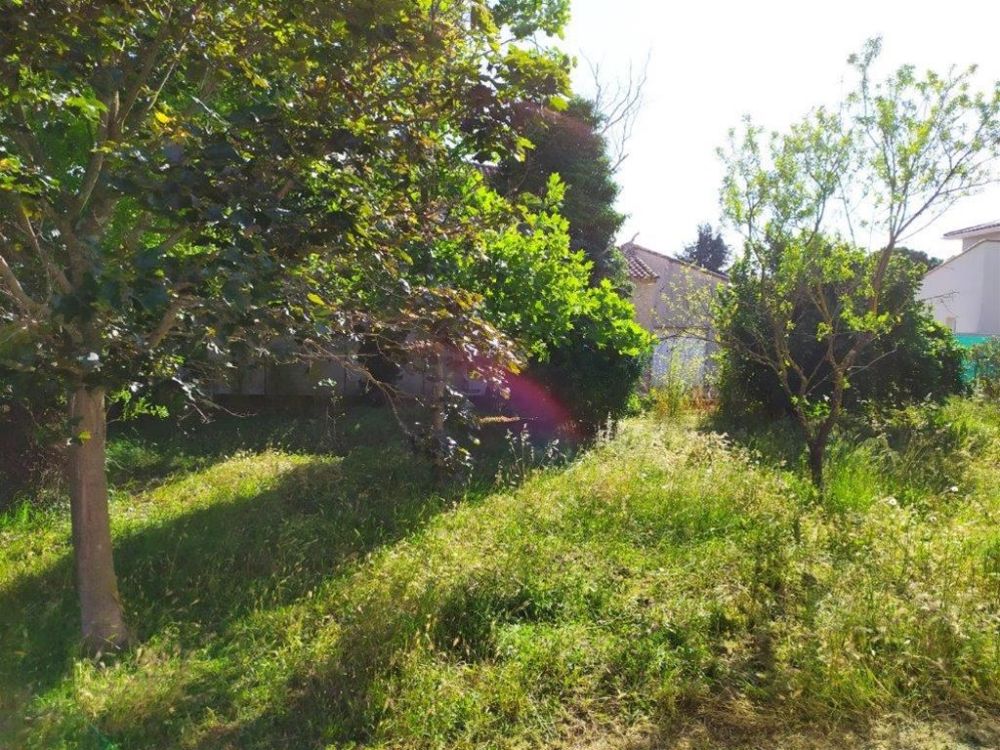 Photo 19 - VALERGUES 34130 à VALERGUES