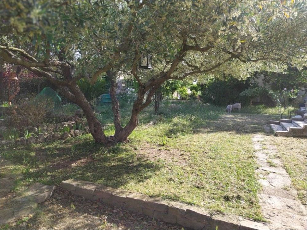 Photo 24 - VALERGUES 34130 à VALERGUES