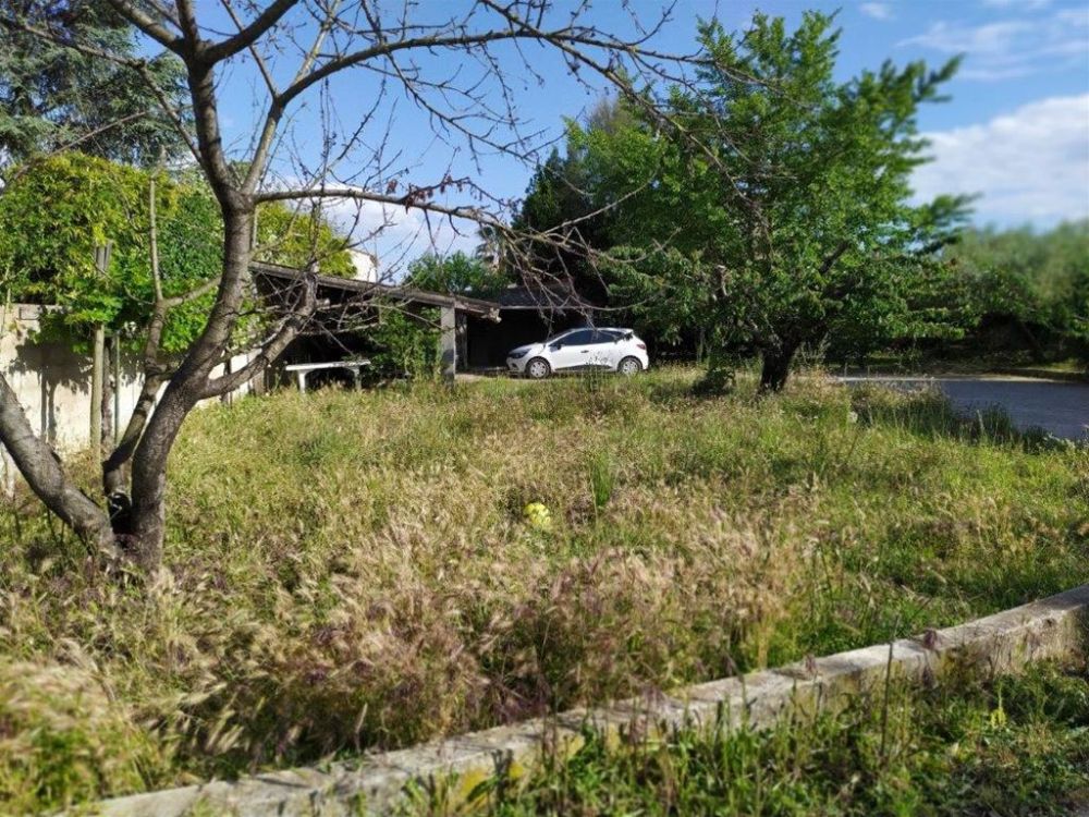 Photo 25 - VALERGUES 34130 à VALERGUES