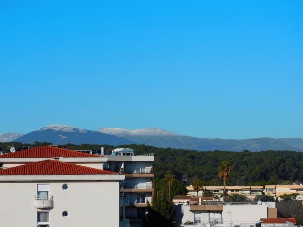 Photo 6 - Antibes 06160 à Antibes