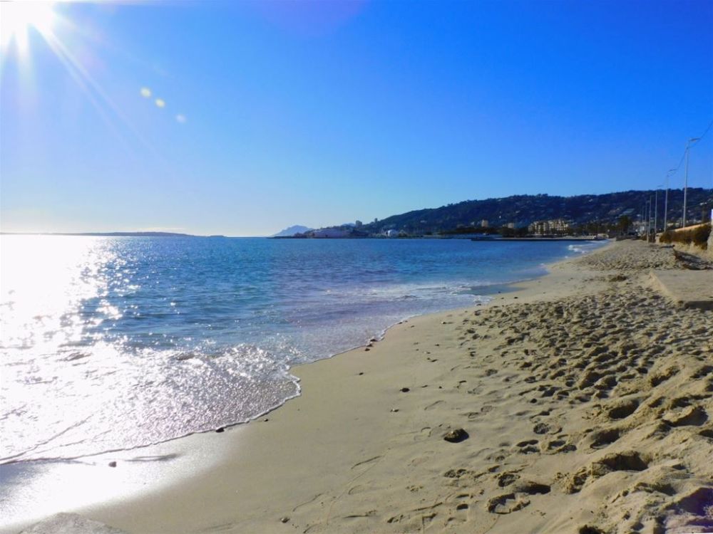 Photo 18 - Antibes 06160 à Antibes