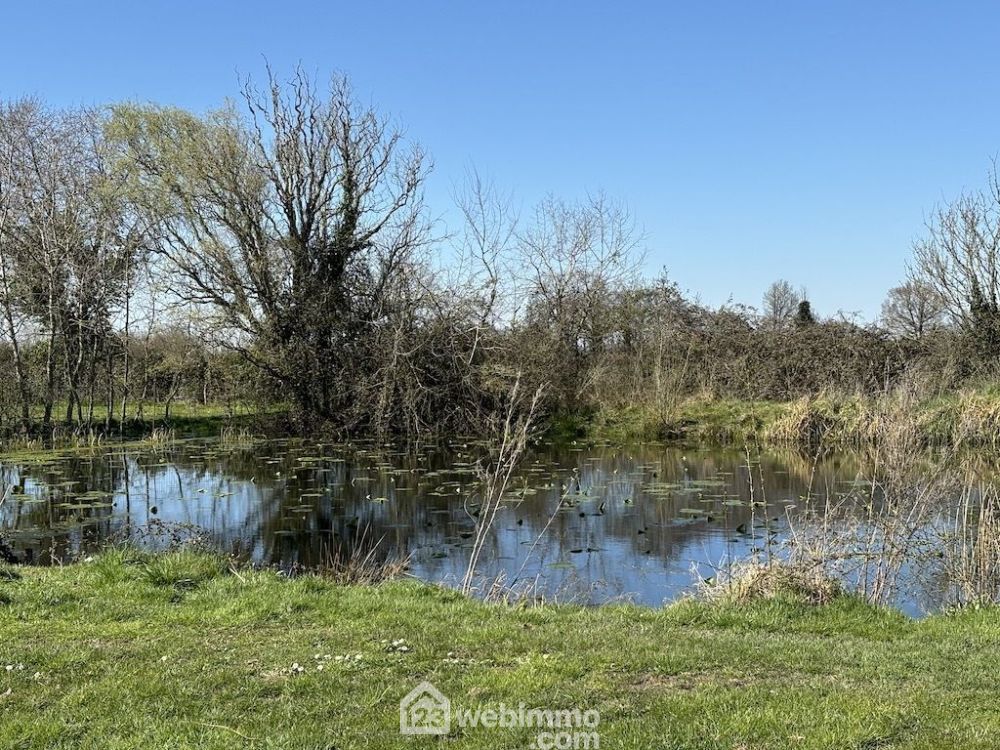 Photo 31 - La Puye 86260 à La Puye