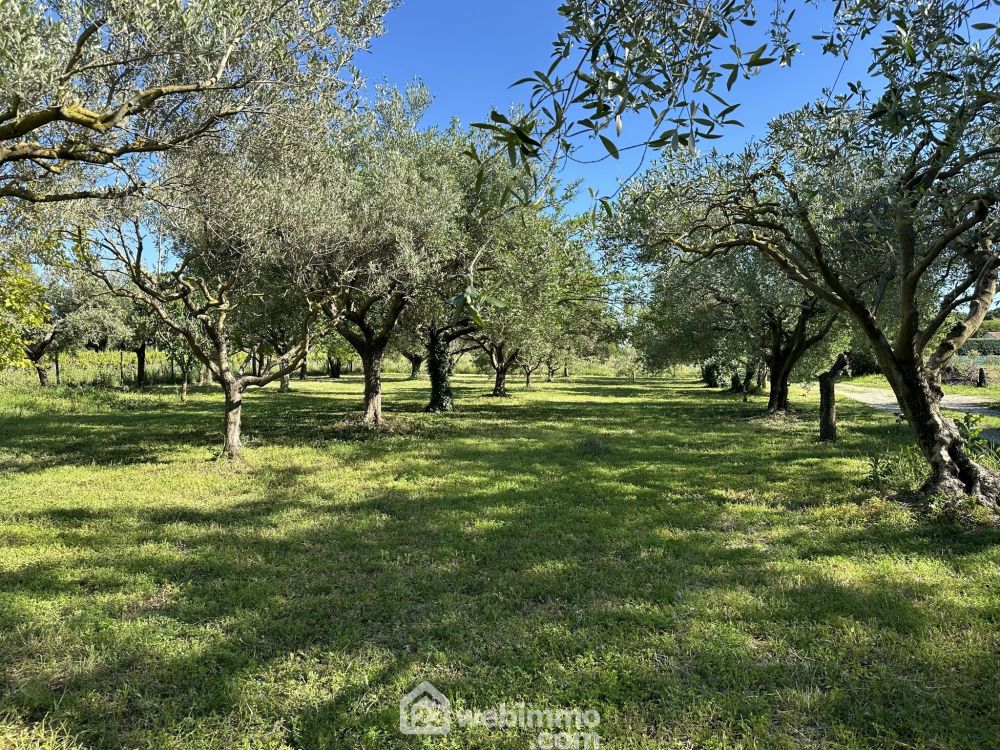 Photo 2 - ORANGE 84100 à ORANGE