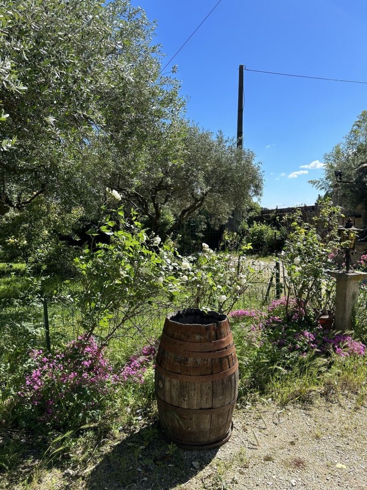 Photo 3 - ORANGE 84100 à ORANGE