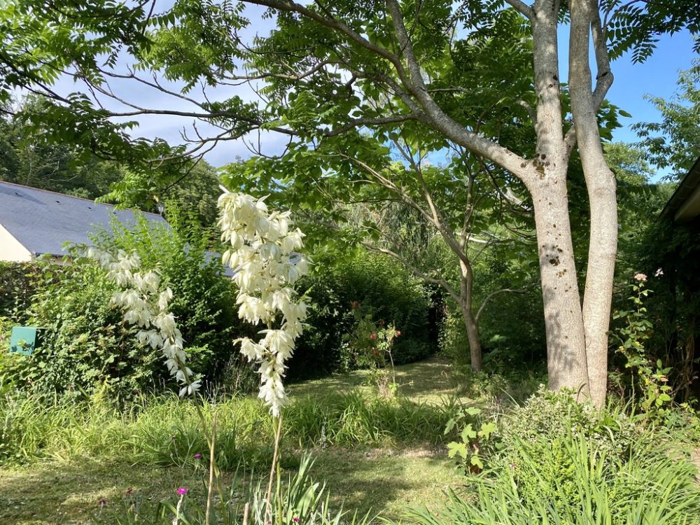 Photo 17 - Baugé en Anjou 49150 à Baugé en Anjou