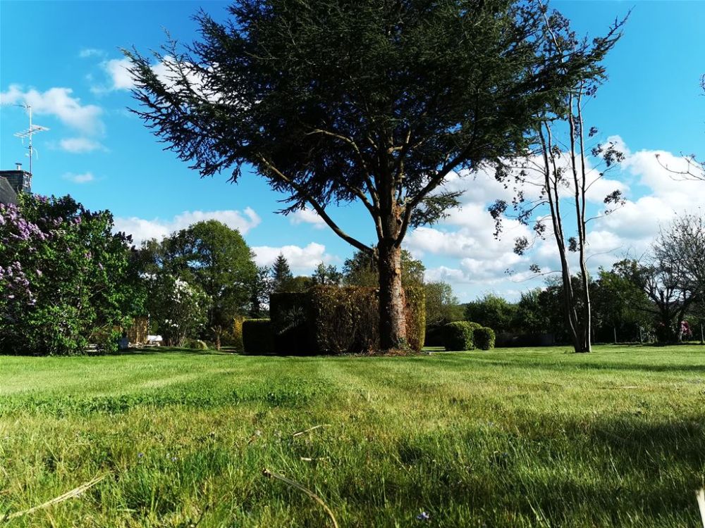 Photo 15 - Grâces 22200 à Grâces