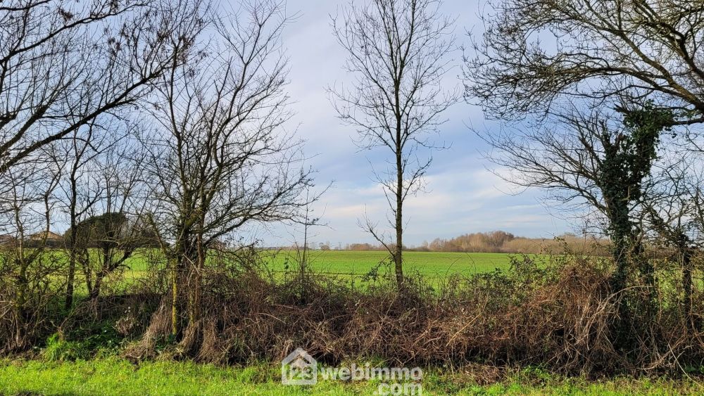 Photo 4 - La Jonchère 85540 à La Jonchère