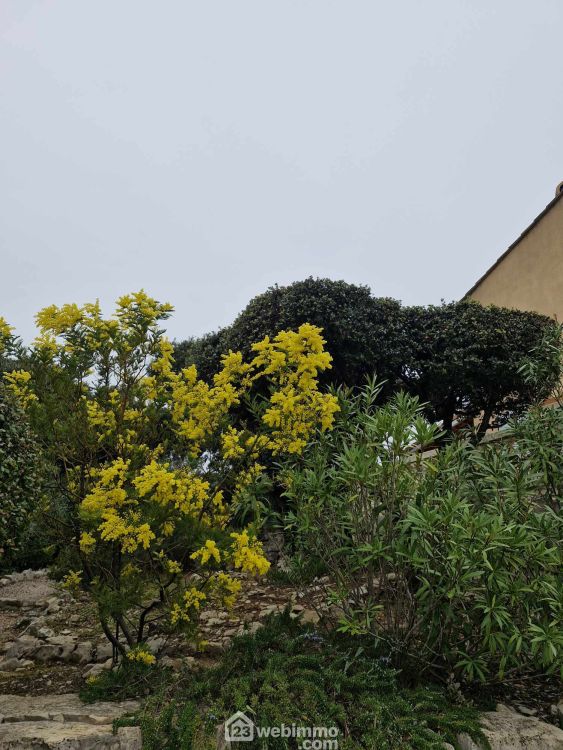 Photo 16 - Le Thoronet 83540 à Le Thoronet