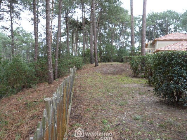 Photo 11 - Lacanau 33680 à Lacanau