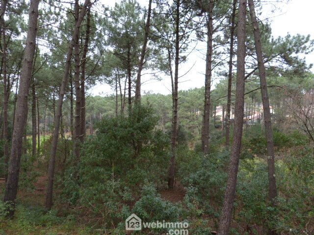 Photo 9 - Lacanau 33680 à Lacanau