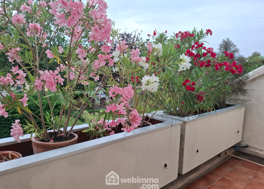 Photo 10 - Choisy-le-Roi 94600 à Choisy-le-Roi