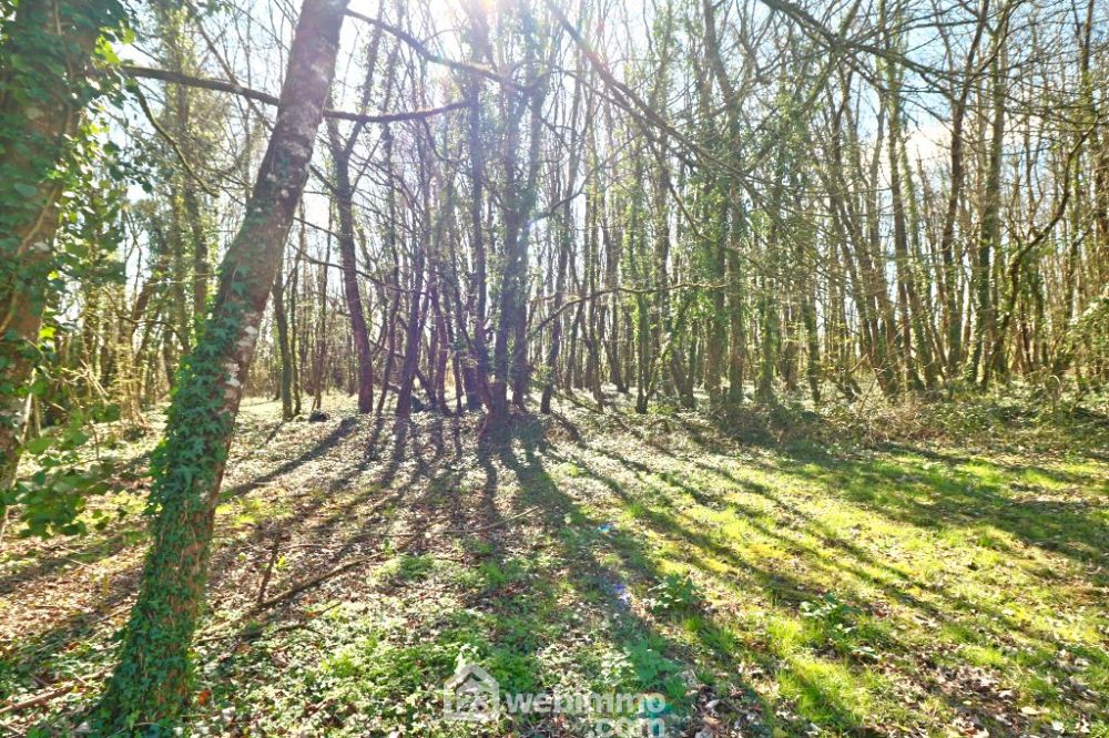 Photo 33 - Valence-en-Poitou 86700 à Valence-en-Poitou