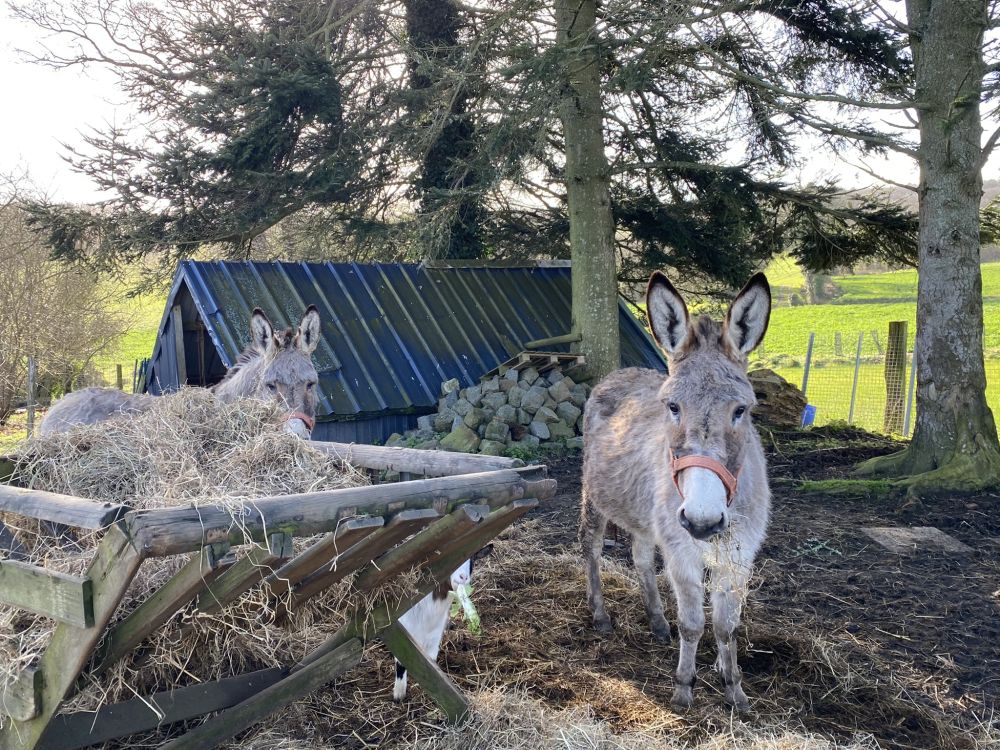 Photo 10 - Hénon 22150 à Hénon