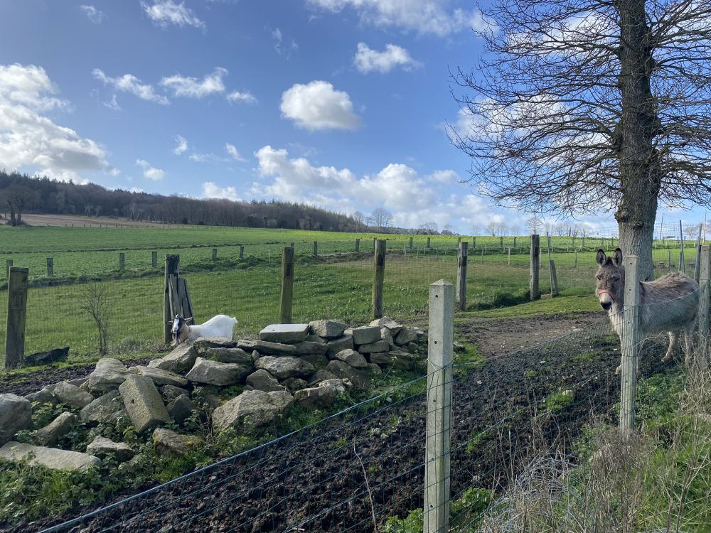 Photo 11 - Hénon 22150 à Hénon