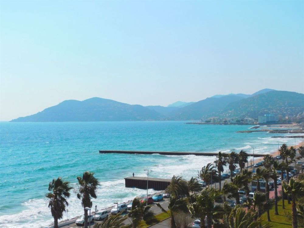 Photo 4 - Cannes 06400 à Cannes