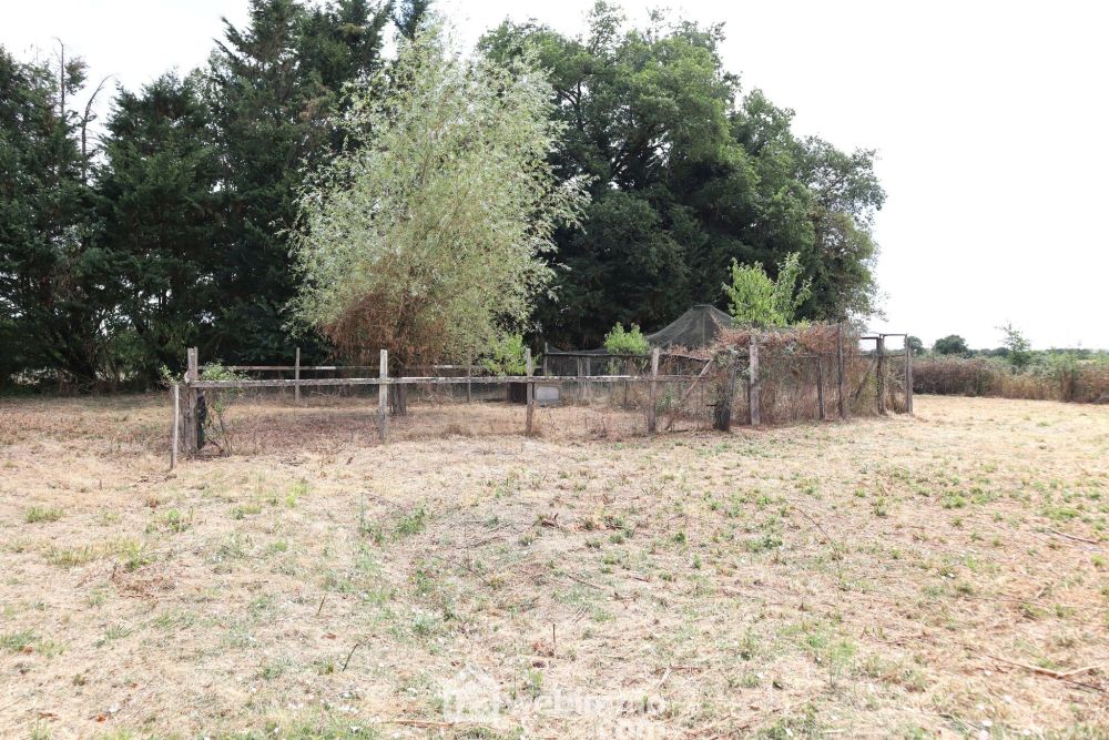 Photo 22 - BRION 86160 à BRION