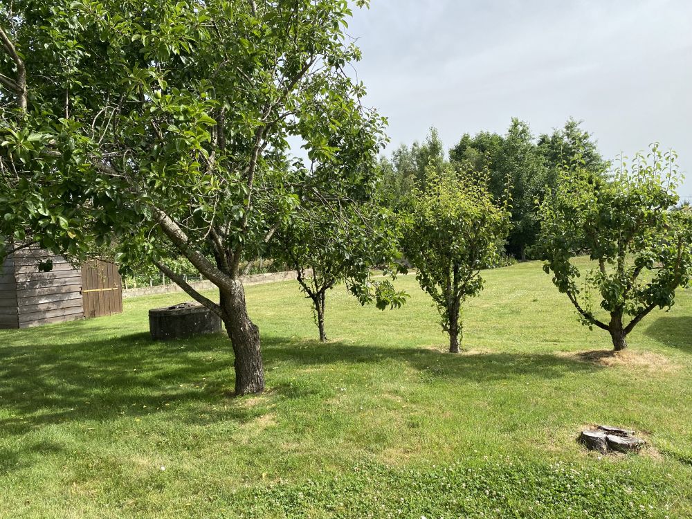 Photo 11 - Bazoges-en-Pareds 85390 à Bazoges-en-Pareds