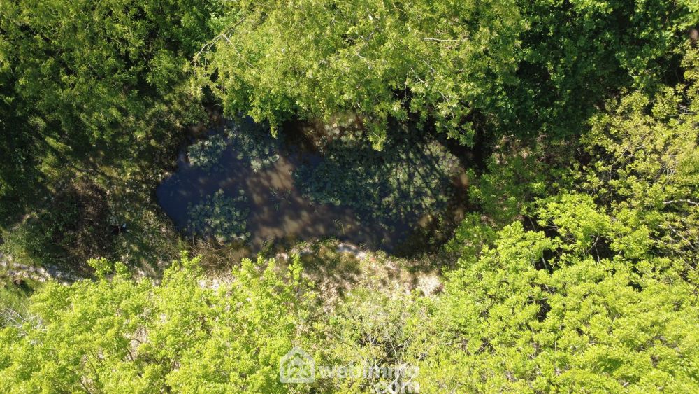 Photo 10 - Eyres-Moncube 40500 à Eyres-Moncube