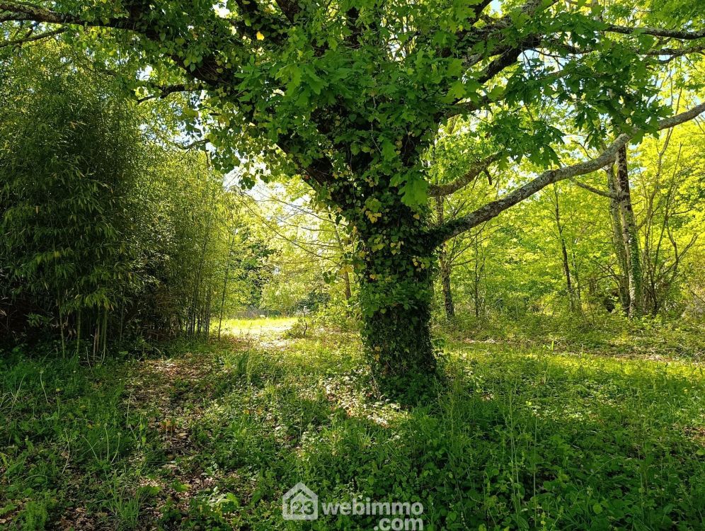 Photo 11 - Eyres-Moncube 40500 à Eyres-Moncube