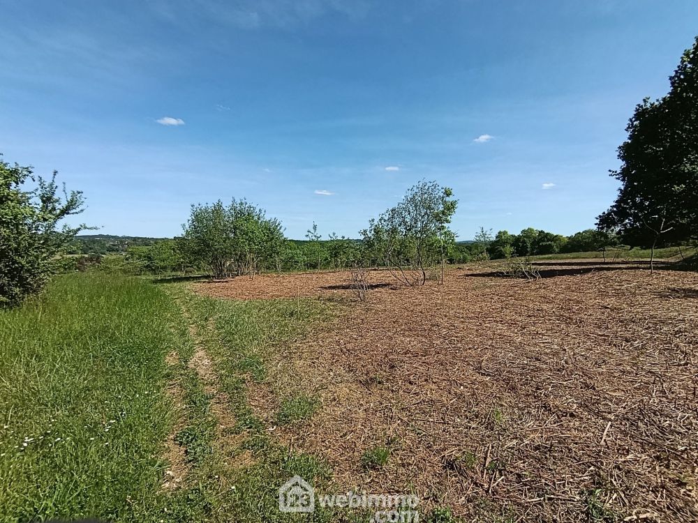 Photo 30 - Eyres-Moncube 40500 à Eyres-Moncube