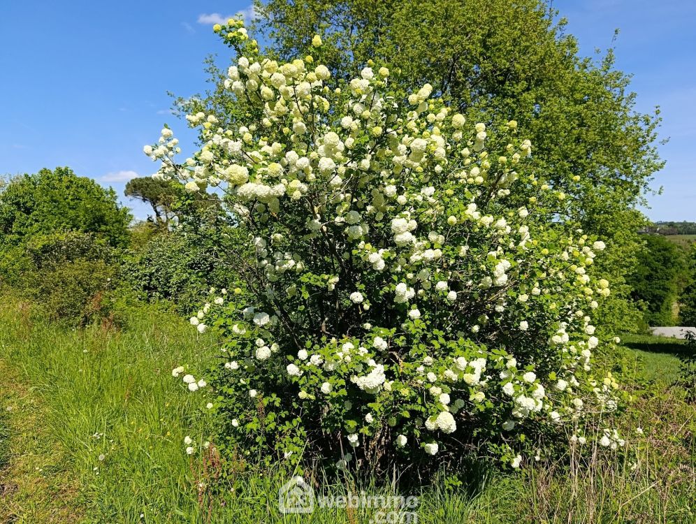 Photo 21 - Eyres-Moncube 40500 à Eyres-Moncube