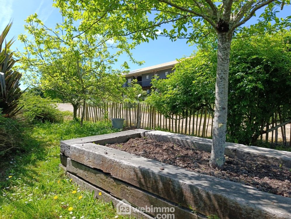 Photo 31 - Doazit 40700 à Doazit