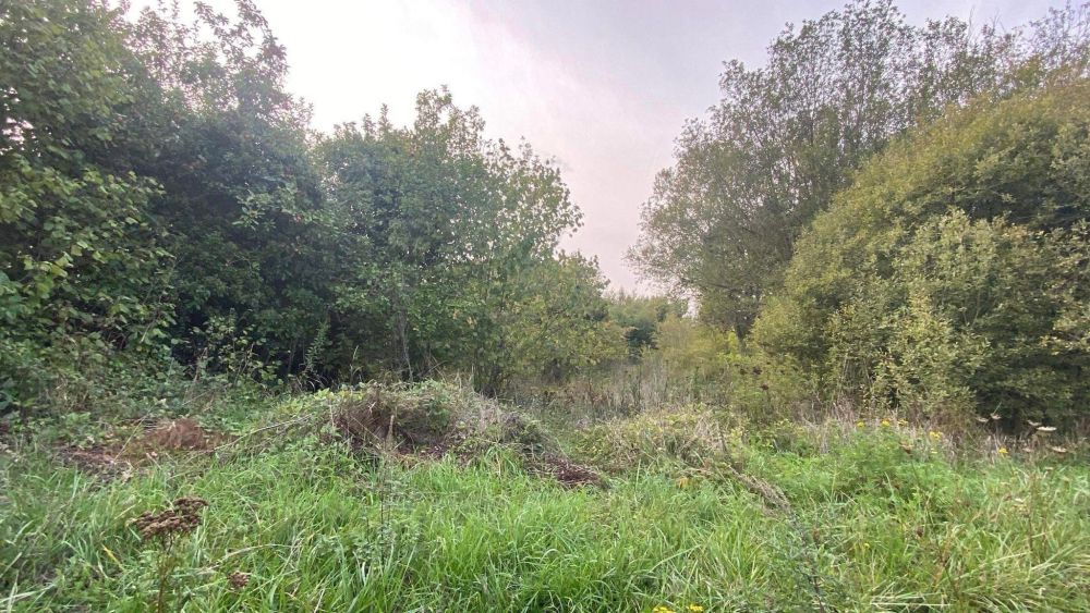 Photo 6 - Bruyères-et-Montbérault 02860 à Bruyères-et-Montbérault