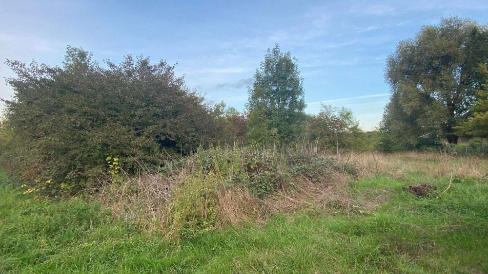 Photo 7 - Bruyères-et-Montbérault 02860 à Bruyères-et-Montbérault