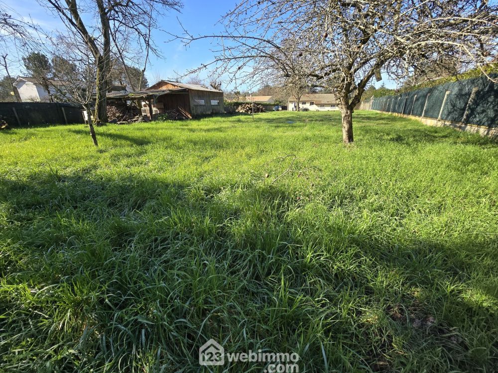 Photo 3 - Le Pian-Médoc 33290 à Le Pian-Médoc