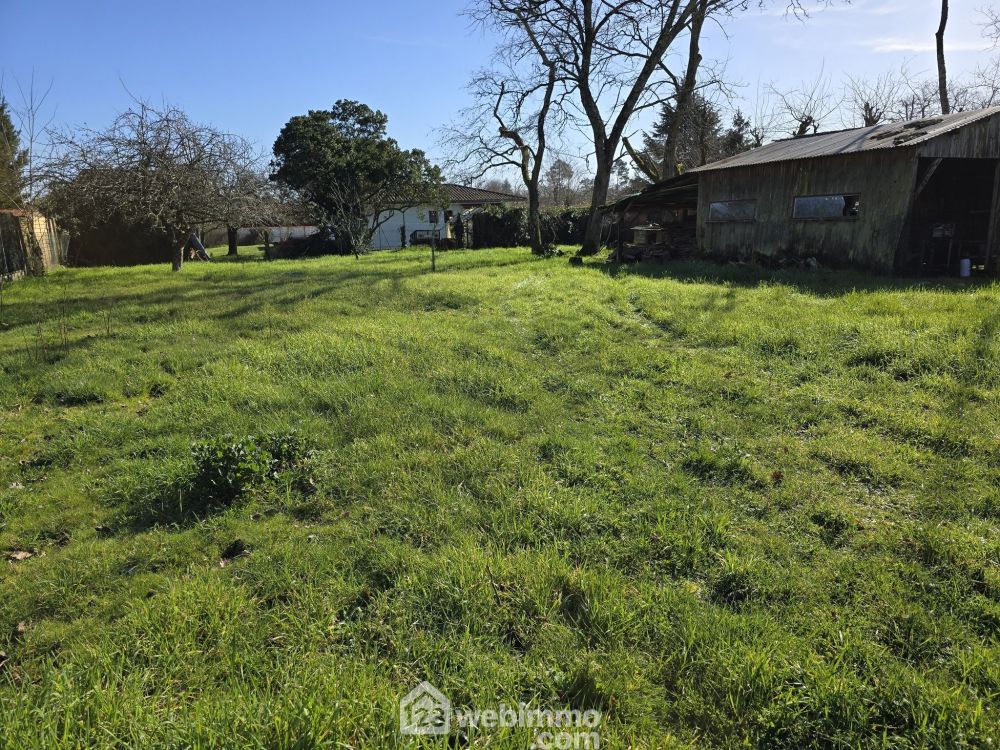 Photo 4 - Le Pian-Médoc 33290 à Le Pian-Médoc