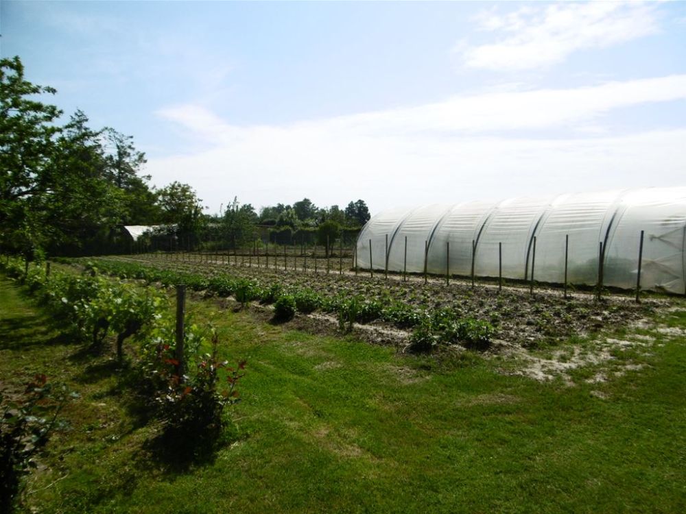 Photo 12 - Grosbreuil 85440 à Grosbreuil