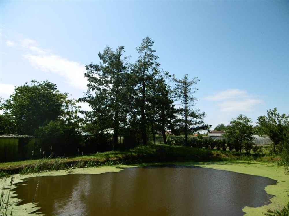 Photo 18 - Grosbreuil 85440 à Grosbreuil