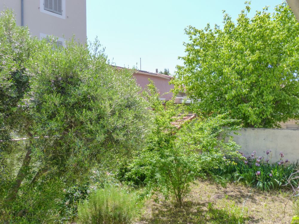 Photo 3 - Marseille 8e Arrondissement 13008 à Marseille 8e Arrondissement