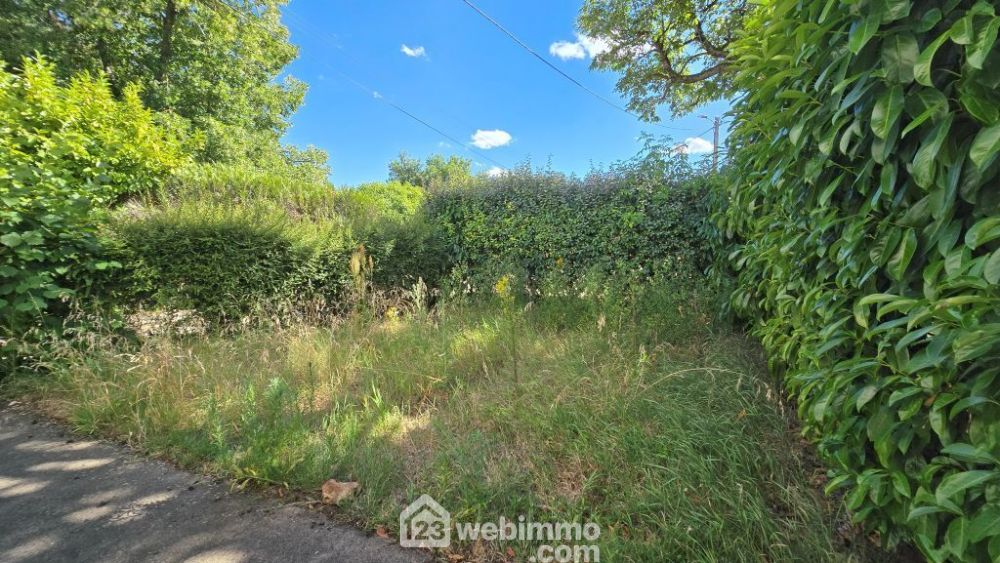 Photo 9 - Mignaloux-Beauvoir 86550 à Mignaloux-Beauvoir