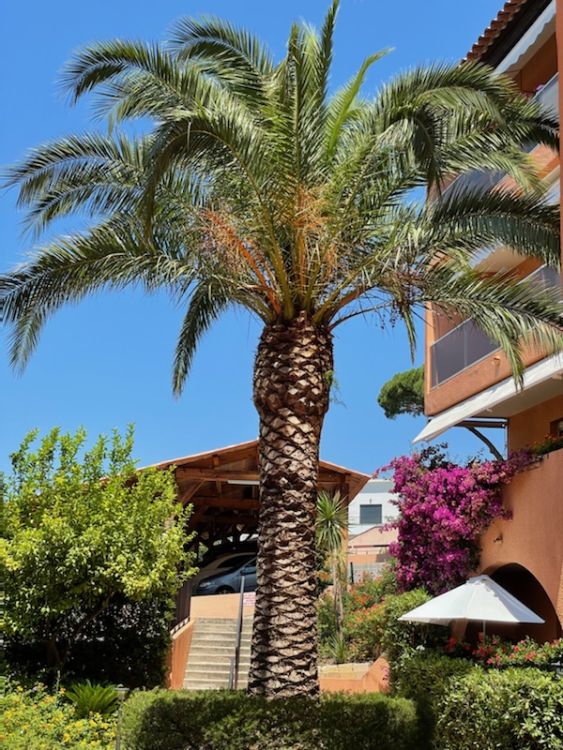 Photo 1 - Sainte-Maxime 83120 à Sainte-Maxime