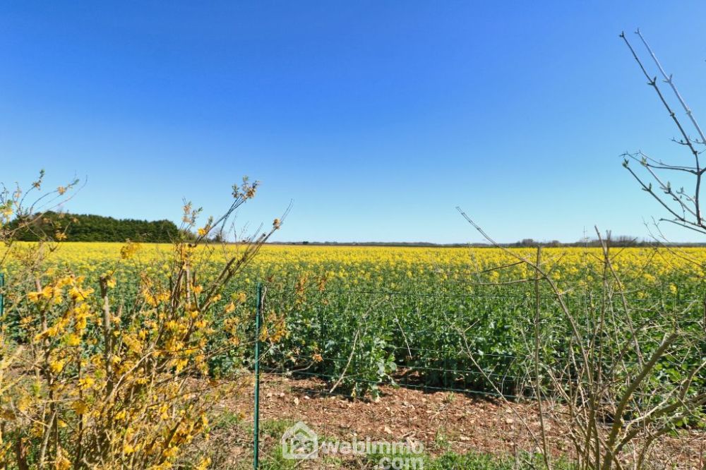 Photo 38 - La Grimaudière 86330 à La Grimaudière