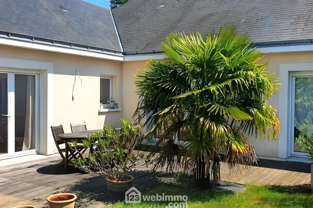 Photo 4 - Chalonnes-sur-Loire 49290 à Chalonnes-sur-Loire