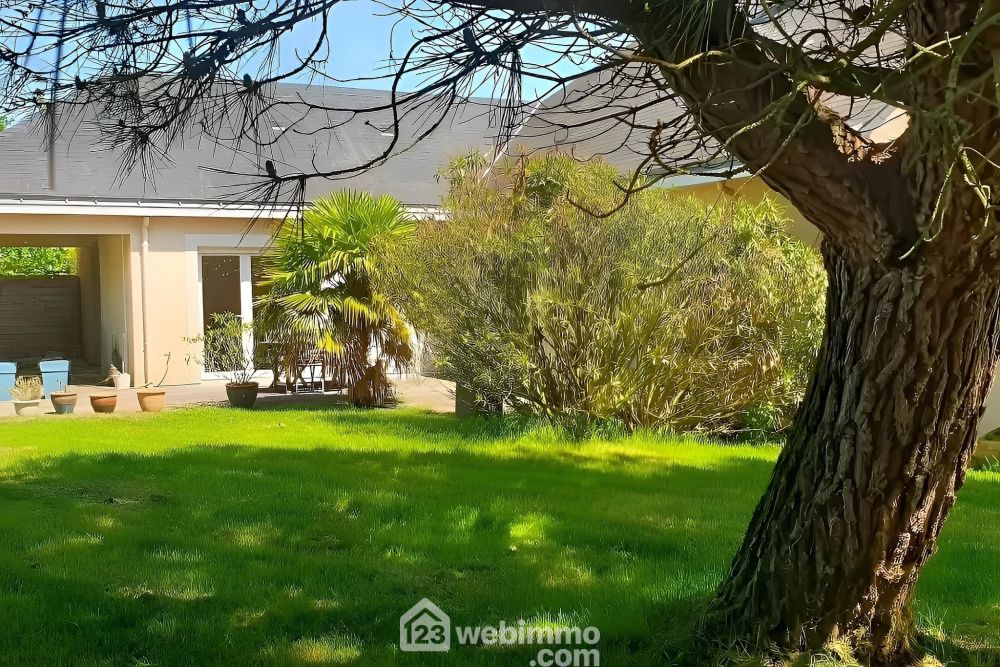 Photo 2 - Chalonnes-sur-Loire 49290 à Chalonnes-sur-Loire