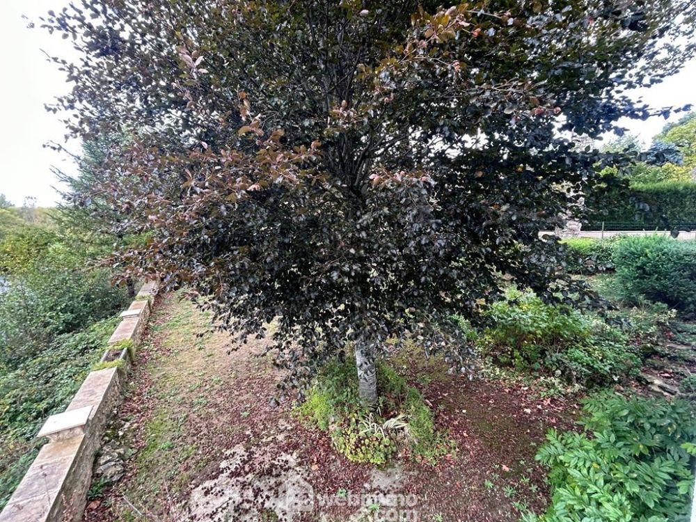 Photo 7 - Montmorillon 86500 à Montmorillon