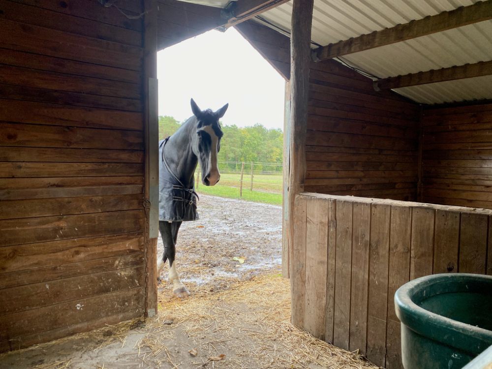 Photo 23 - Baugé en Anjou 49150 à Baugé en Anjou