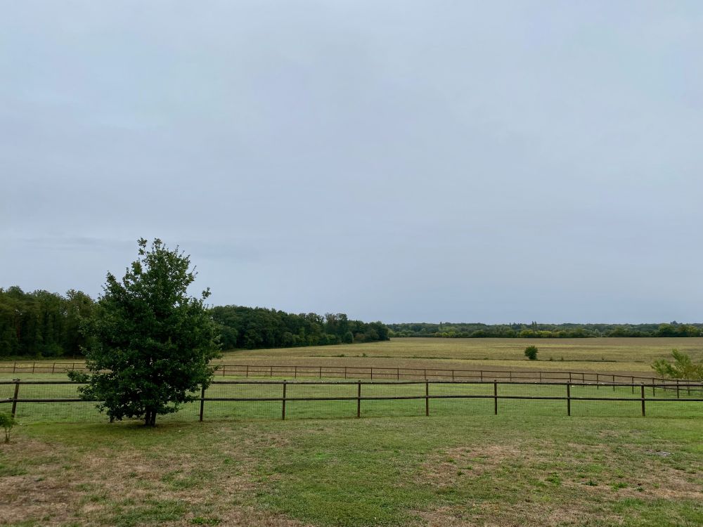 Photo 21 - Baugé en Anjou 49150 à Baugé en Anjou