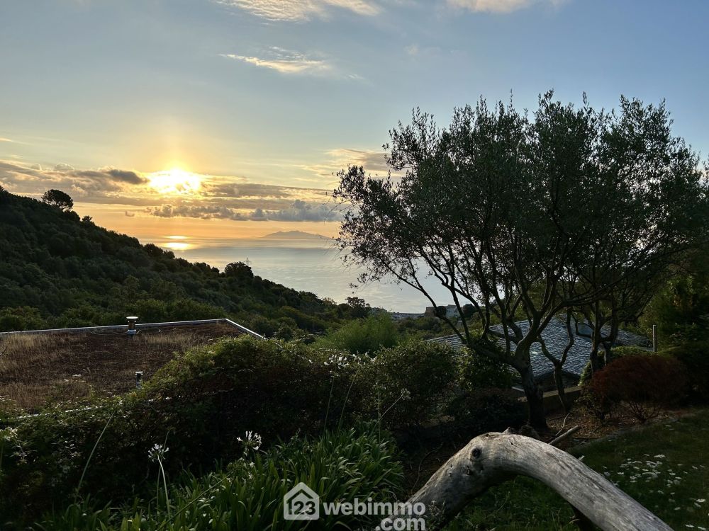 Photo 17 - Bastia 20200 à Bastia