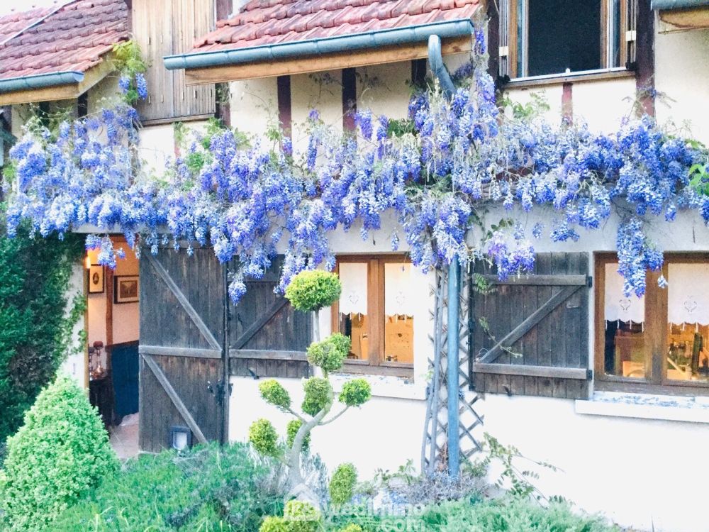 Photo 3 - Sahurs 76113 à Sahurs