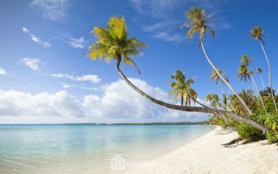 Photo 5 - saint paul 97415 à saint paul