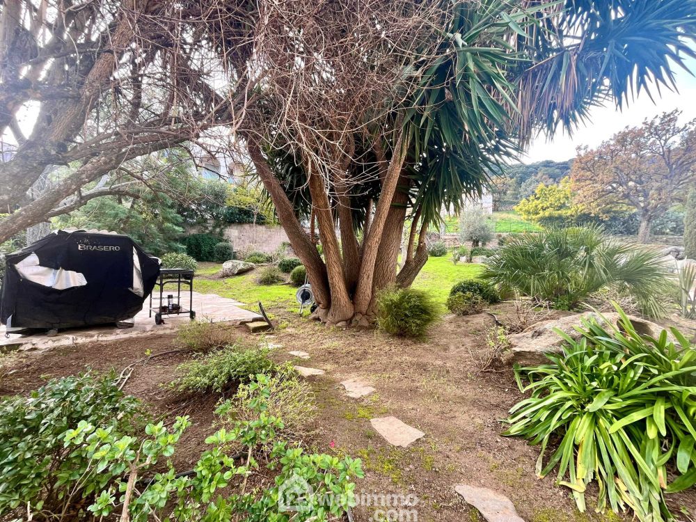 Photo 12 - Santa-Reparata-di-Balagna 20220 à Santa-Reparata-di-Balagna