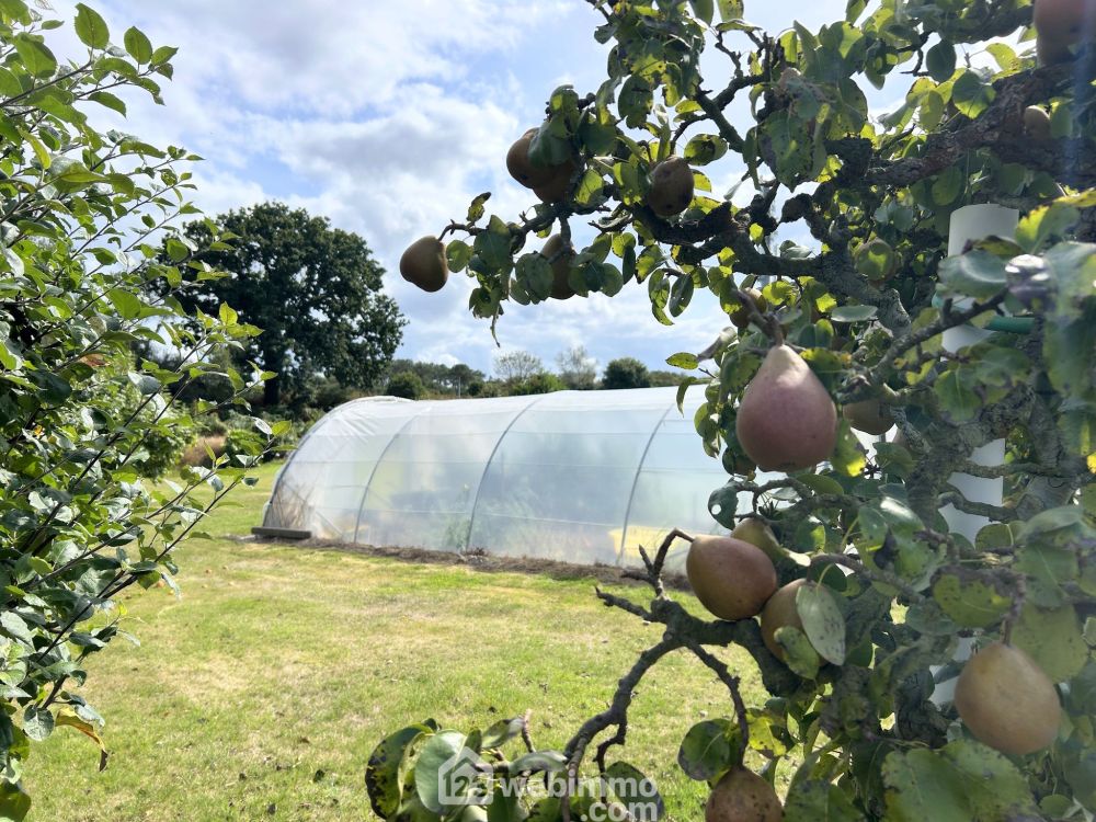 Photo 27 - Trédrez-Locquémeau 22300 à Trédrez-Locquémeau