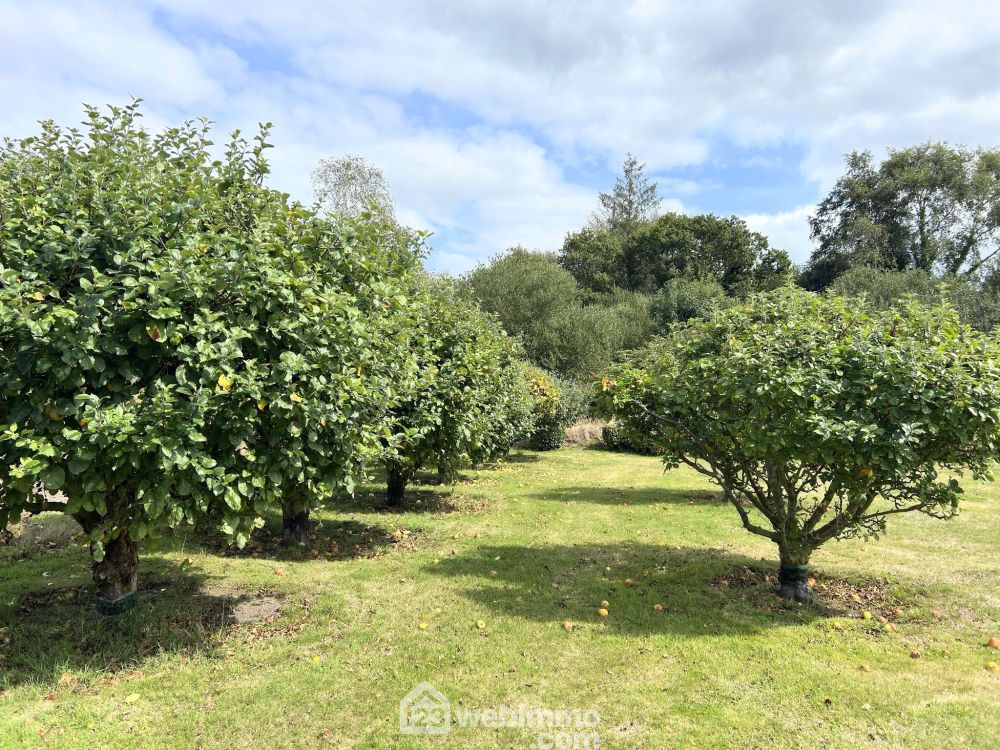 Photo 28 - Trédrez-Locquémeau 22300 à Trédrez-Locquémeau